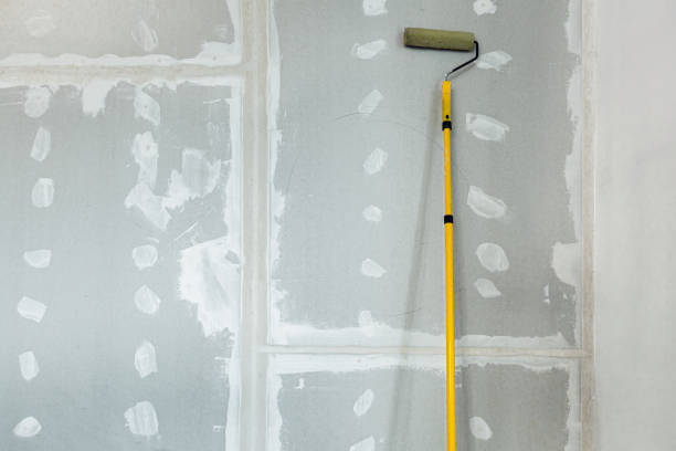  Keene, TX Mold Removal Pros