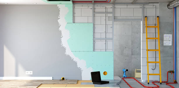 Best Black Mold Removal  in Keene, TX